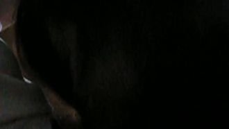 La ragazza delicata che assomiglia molto a Gillian ha una dipendenza dal sesso e le piace mangiare J8, lo mangia con gusto e le sue urla durante il sesso sono piuttosto erotiche. Mostra il suo viso perfettamente.