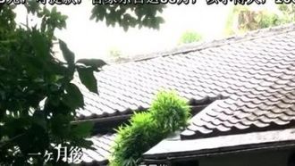 夫よりも义父を爱して… かすみ果穂