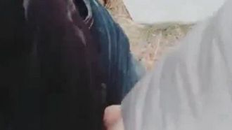 Jeune femme en bas noirs fait l'amour dans le parc ~ Rencontre un chauffeur de voiture en ligne ~ Sexe passionné en voiture et sexe sauvage ~