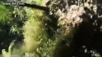 Cold S cat slave Xiao Lin exposed herself and masturbated, sprayed urine and abused herself 3