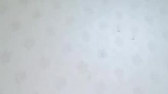 Uma garota com corpo carnudo e uma bucetinha tenra de tigre branco se masturba. Sua bucetinha rosada e sem pelos é recheada com um vibrador e puxada.