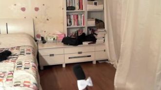 Video conduttore-Guilin 8