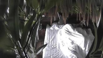 Мужчина и женщина средних лет были тайно сняты на видео в комнате «Зеленый лист» небольшого бутик-отеля. Женщина, которая зарегистрировалась в номере, выглядела очень возбужденной, а затем подъехала к нему вскоре после того, как они закончили.