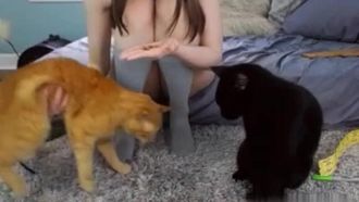 [Video pazzo europeo e americano!] I concetti sessuali sono aperti I conduttori sono tutti senza peli e l'azione è intensa e tutti i tipi di sesso 13
