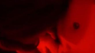Une prostituée dans un salon de coiffure de village en ville se fait une bonne pipe. La jeune patronne a un pubis poilu et une forte envie sexuelle.