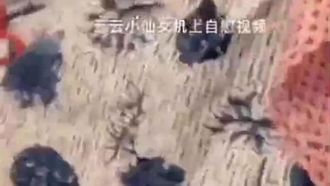 最新推特極品身材網紅女神雲雲小仙女大尺度性愛私拍流出