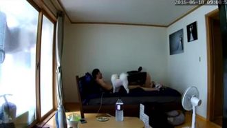 Ein echtes Sextagebuch eines koreanischen Paares. Der Besitzer dreht einen Liebes-Actionfilm, während der Hund winkt und schreit.