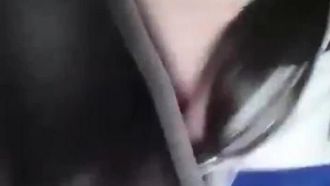Bezerros recém-nascidos não têm medo de tigres. Uma estudante com roupas esportivas não usa máscara e seduz o motorista do Didi ao ar livre. Ela desnuda o porco e sacode o carro.