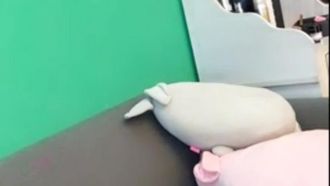 0327 若い女性のプラットフォームで一流の王室美人アンカーの生放送ショー。彼女は美しい容姿と美しい菌を持っています。