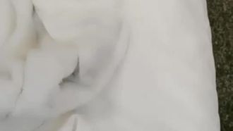 高颜值女大生赚零用钱，与糖爹酒店啪啪开直播~