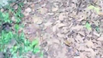 I giovani hanno solo una buona energia. Sparare con i cannoni da campo tra le rovine con le loro amiche non è sufficiente. Andiamo a casa e spariamo di nuovo~
