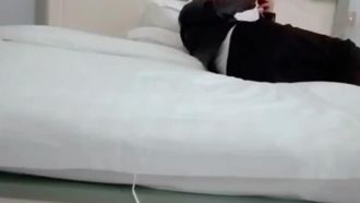 La transmisión en vivo de un hombre rico gritando pollas, y finalmente llamó a una chica pura con cabello largo. Aunque cuesta el doble, puede hacer un culo enorme ¿No estás emocionado?