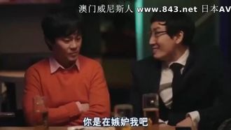 Film coreano di categoria III Sottotitoli in cinese Lo scopo della festa