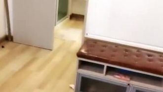 エキゾチックな若い女性、彼女はドアに入るとすぐにチンポを食べたがります。3 つまたは 4 つのチンポが交代で彼女を性交します
