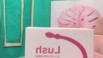 台湾の女の子がオナニー用に新しいバイブを購入
