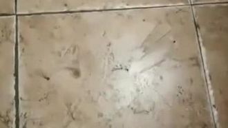 En quête d'excitation, la jeune femme élancée s'est rendue aux toilettes publiques pour bourrer son vagin d'un vibromasseur et l'a diffusé en direct. Elle a également mis ses sous-vêtements dans sa bouche pour éviter de gémir ~.