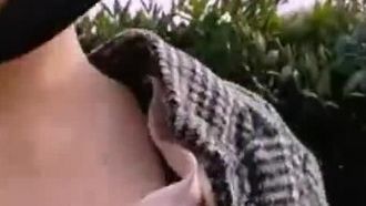 Es schien ihm, als hätte er gesehen, wie das mutige Mädchen mit den großen Brüsten sich im Park entblößte und sich selbst berührte: Es juckte ihn so sehr.