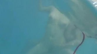 Encuentra una madre y un hijo que tengan una buena relación en la piscina. Si tienen éxito en la piscina, dales una bonificación.