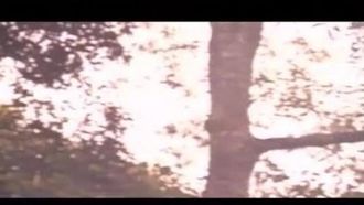 Películas de categoría III de Hong Kong: La esencia sin censura del loto dorado de Hong Kong Yang Simin (sin censura)_¡Refrescante, increíble!