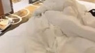 한 남자와 세 여자가 주먹다짐을 하고 거의 끝날 때까지 옷을 벗었습니다. 그런 다음 그들은 쓰리섬으로 서로 섹스를 시작했고, 낯선 소녀들도 똑같은 일을 했습니다.