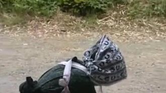 아빠는 할 수 없었고, 엄마는 그것을 너무 원했기 때문에, 막 수업을 마치고 돌아온 아들의 갈망을 충족시키기 위해 그녀는 아들을 찾아야만 했습니다.