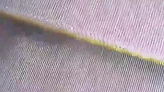 La presentadora de al lado se lió al aire libre con un chico de cuatro ojos al que le gusta mucho lamer el coño. Fueron a tener sexo en la naturaleza. Había tantos mosquitos que tuvo que revisar una habitación.