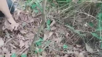 Due bellissime sorelle hanno sedotto un amico del sesso e sono andate in diretta insieme all'aperto. Entrambe avevano dei seni grandi e il sesso orale era molto eccitante.
