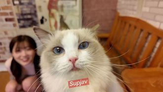 FC2PPV 4511406 1490pt fino al 9!!!　 *Troppo carino e super raro　Durante un appuntamento in un cat café, il gatto scoppia a ridere, dicendo: ``Così carino..'' Dopo l'appuntamento, tra i due rimane un segreto di noi che anche loro erano pazzi della mia figa