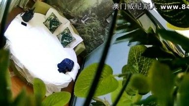 平均3分钟换一个姿势 这对情侣很追求体位上的变化~ 看女友享受的表情就知道很爽~~