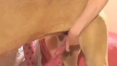 Una ragazza di 14 anni con la figa rosa senza peli è stata scopata da un cane lupo e ha ricevuto un creampie. Cosa è successo a questa ragazzina~HD