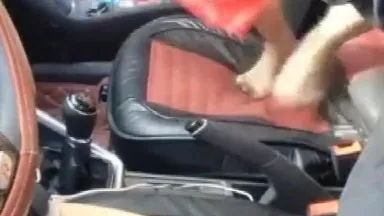 Parte 2 do show de sexo ao ar livre do casal sexy no carro - Tocando JJ enquanto dirige e andando no banco do passageiro