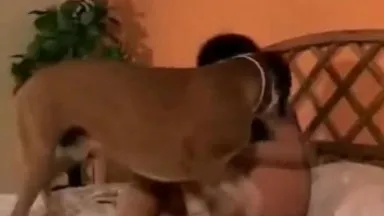 Cachorrinho grande em pornografia familiar maluca xnxx