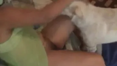 Hausfrau hat ihren Hund auf Video gefilmt