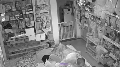 In October, a newly cracked home webcam secretly filmed a couple in a pet supplies store having sex on the floor with several puppies playing nearby.