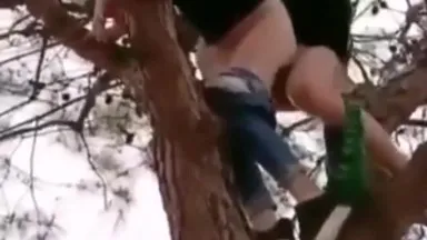 ¡Disparar un cañón al aire libre no es nada, pero dispararle a un árbol es increíble!