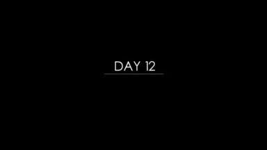 Día 12