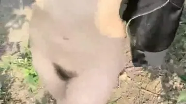 Outdoor sex, wild sex in the countryside, naked and beautiful ass, without condom, from behind