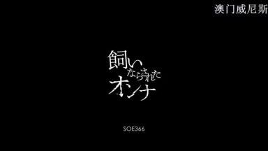 飼いならされたオンナ 月見栞