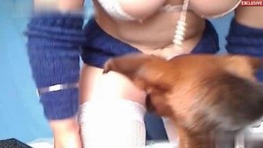 Vagabunda com meias arrastão brancas deixa seu cachorro lamber seu cu peludo em várias posições