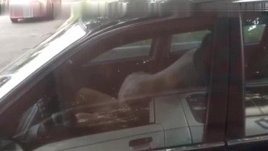 Super fous, un homme et une femme de Guangzhou se sont déshabillés sur le bord de la route en plein jour et ont eu des relations sexuelles pendant que les gens dans la voiture à côté d'eux continuaient à filmer.