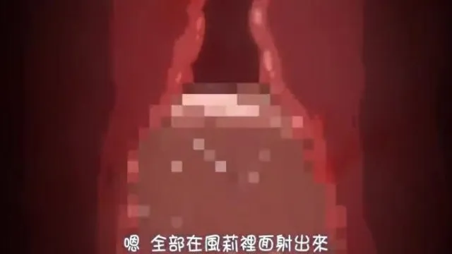乙女*領域 動畫