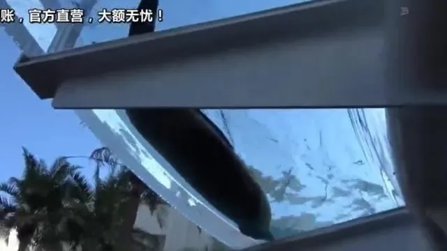 裏垢ハッシュタグ＃J● 現役女子校生とのハメ撮りアカウント2