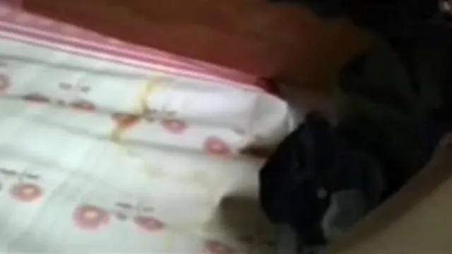 A prostituta do cabeleireiro foi filmada com um celular. A menina é linda e tem bom temperamento. O atendimento é muito bom.