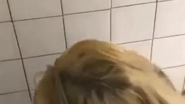 EgípcioeAlemãoLésbicasat