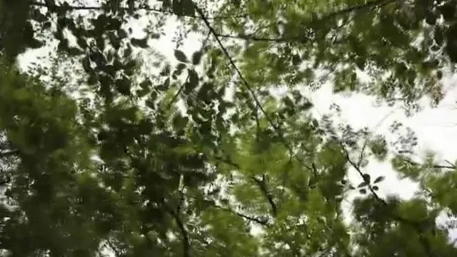 Se ve genial pero es ingenua y femenina. Quiere que le guste aún más el sexo, así que hace su debut audiovisual con Koiwa Ito.