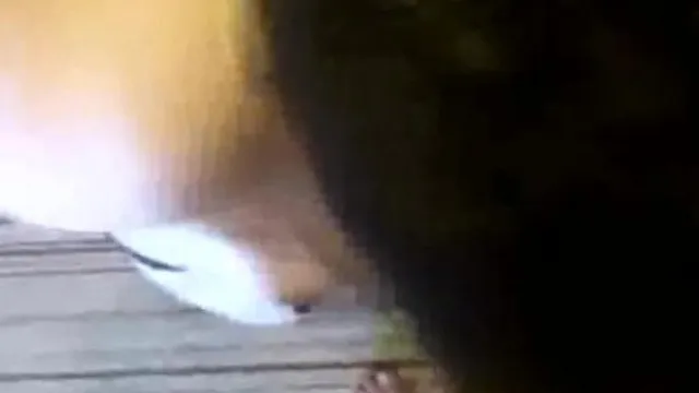 大奶母狗1
