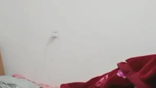 年纪不大身材却很丰满漂亮小美女穿着丝袜.和炮友双人啪啪