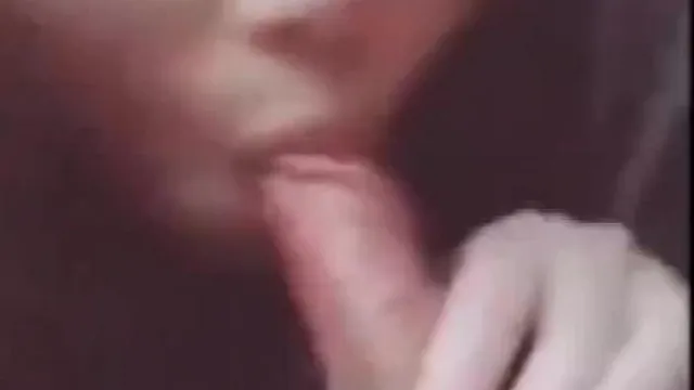 開車玩鳥