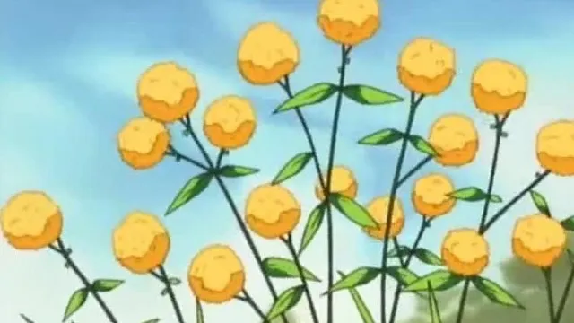 SEDD-3011 とらいあんぐるハート　さざなみ女子寮 夏のゆうひ
