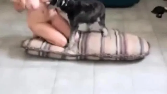 k9.zoophilia金发女郎在客厅地板上被矮小的狗